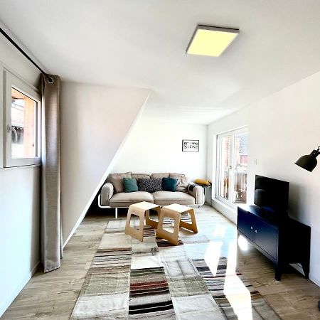 Sous Les Toits Avec Garage Et Terrasse A Ribeauville Exterior photo