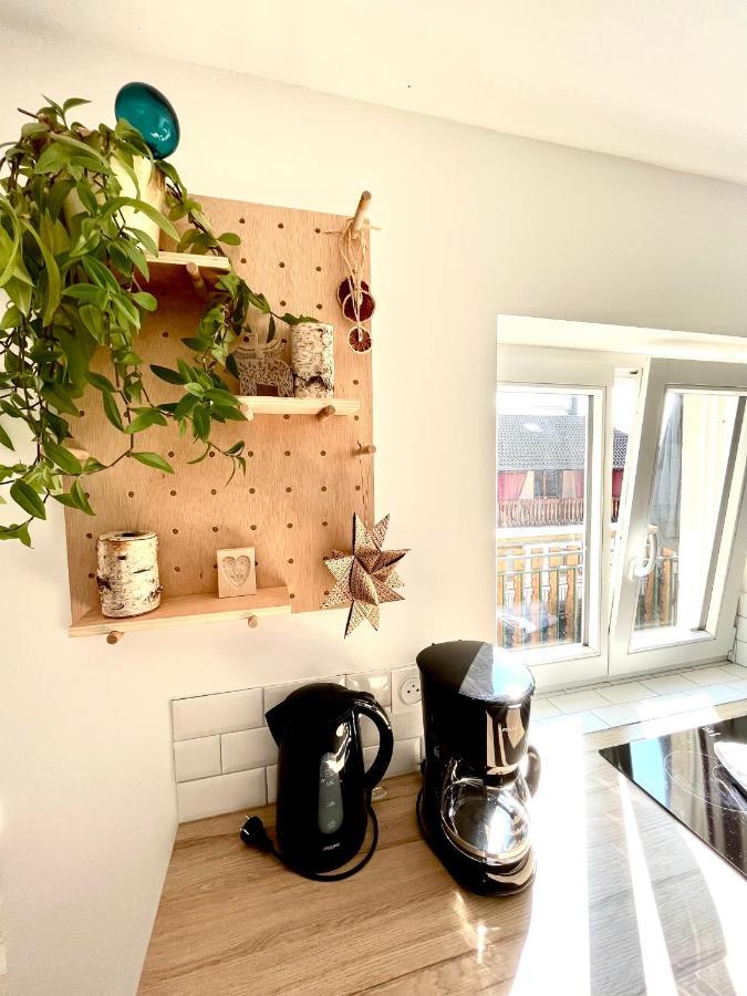 Sous Les Toits Avec Garage Et Terrasse A Ribeauville Exterior photo